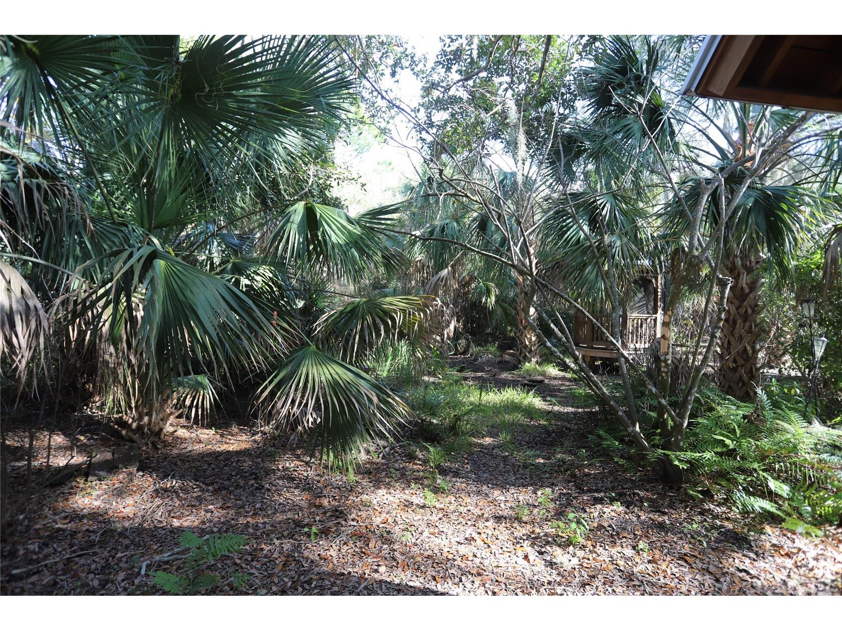 272 Orange Street #A-B Palm Harbor FL 34683 TB8392905 image48
