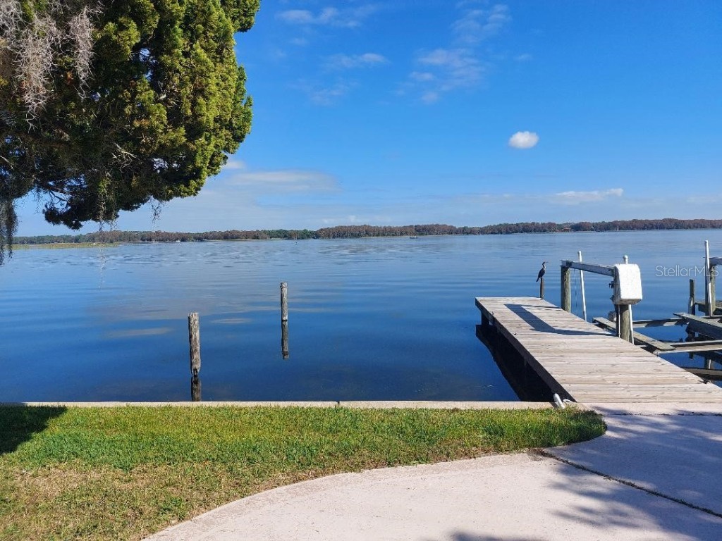 272 Philadelphia Boulevard #48 Palm Harbor FL 34684 - LAKE TARPON TB8461115 image19