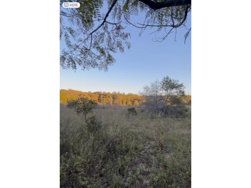 272 Riviera Drive Interlachen FL 32148 - FLAMINGO LAKE G5103789 image2