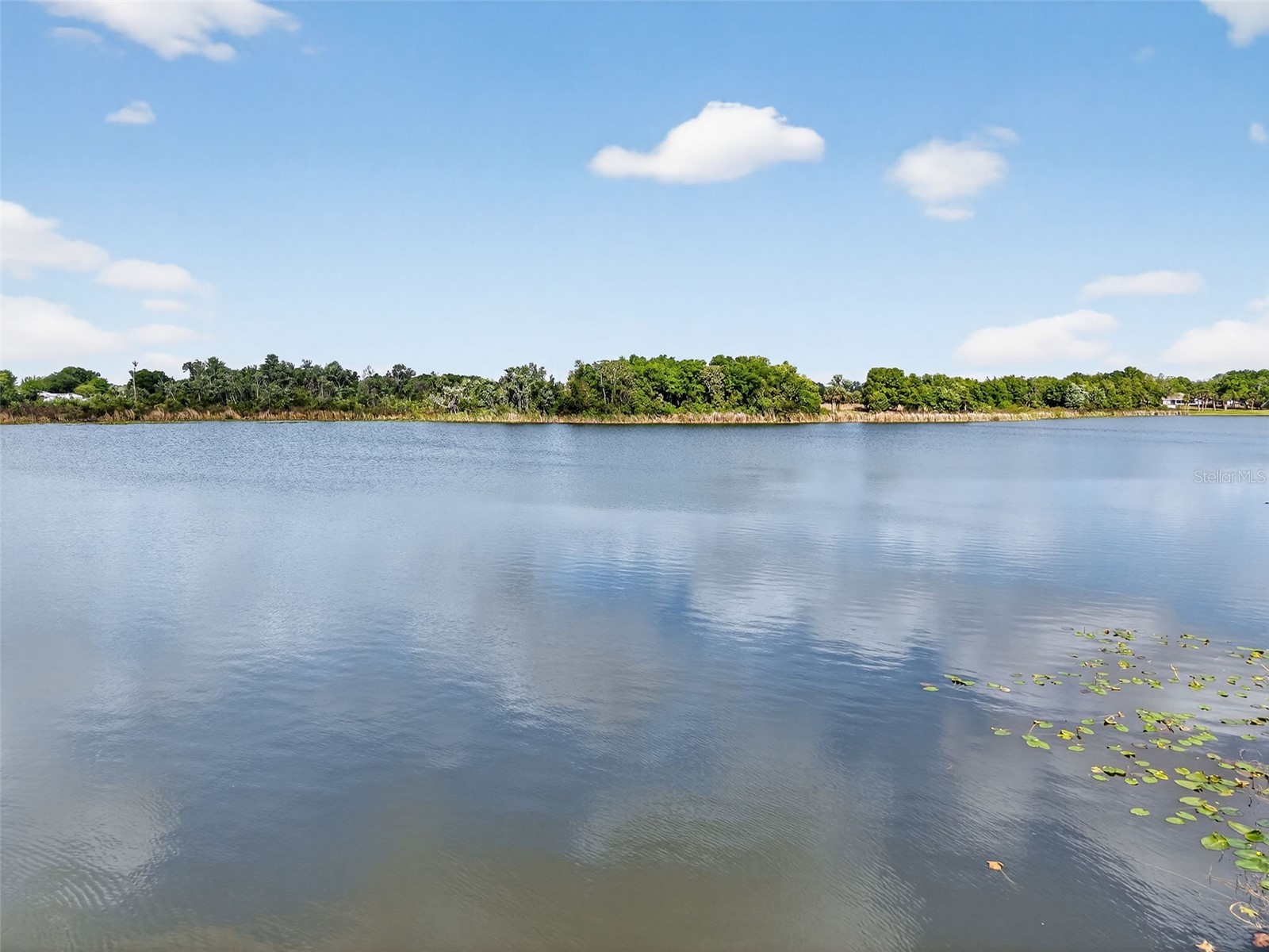 272 S Central/Sr19s Avenue Umatilla FL 32784 - LAKE ENOLA G5109648 image47