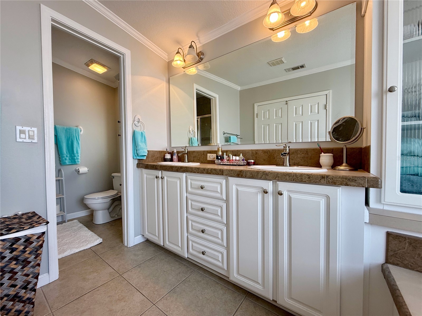 272 S Port Royal Lane Apollo Beach FL 33572 TB8468562 image13