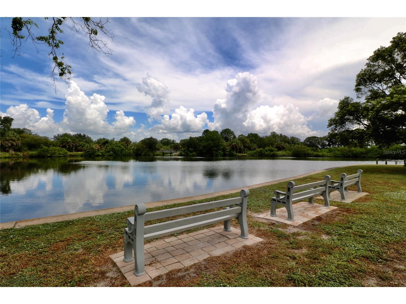 272 S Port Royal Lane Apollo Beach FL 33572 TB8468562 image23