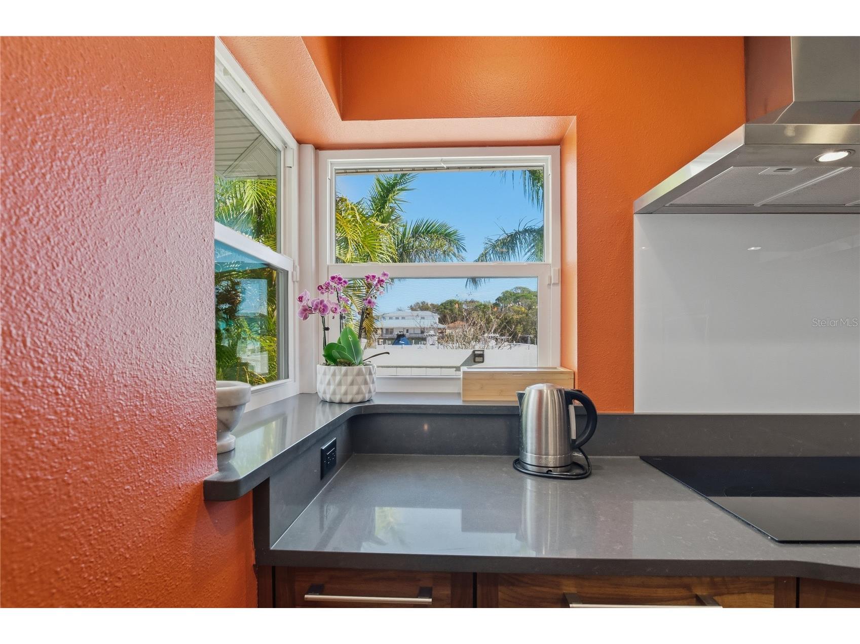 272 Shore Drive Palm Harbor FL 34683 - GULF OF AMERICA TB8467215 image24