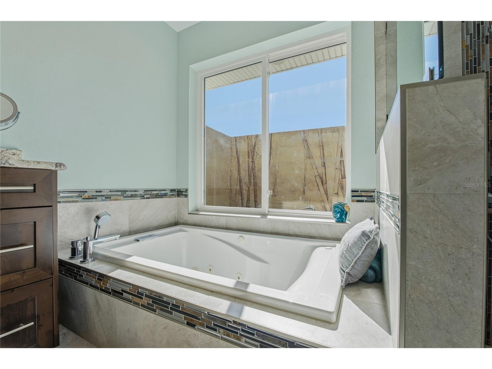 272 Shore Drive Palm Harbor FL 34683 - GULF OF AMERICA TB8467215 image34