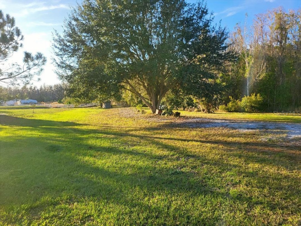 2720 Abilene Trail Polk City FL 33868 P4937339 image34