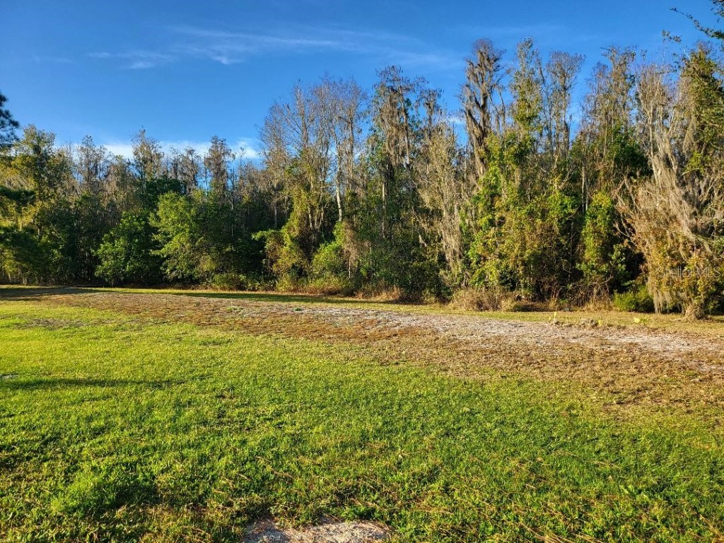 2720 Abilene Trail Polk City FL 33868 P4937339 image36