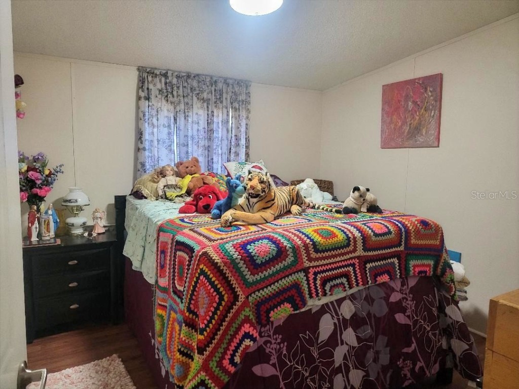 2720 Abilene Trail Polk City FL 33868 P4937339 image8