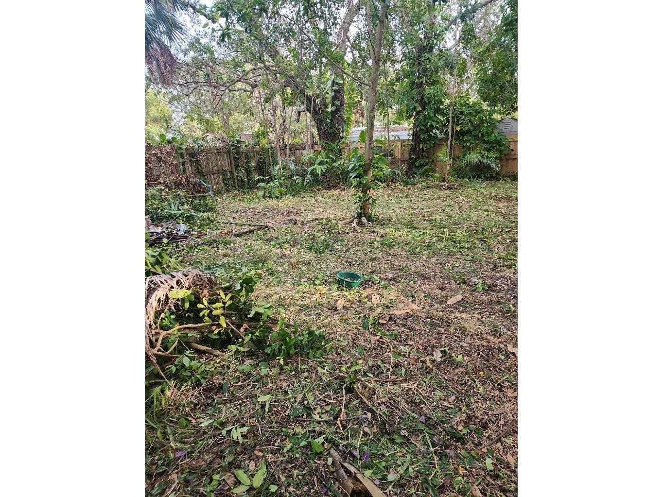 2720 Bayside Drive S Saint Petersburg FL 33705 TB8516478 image5