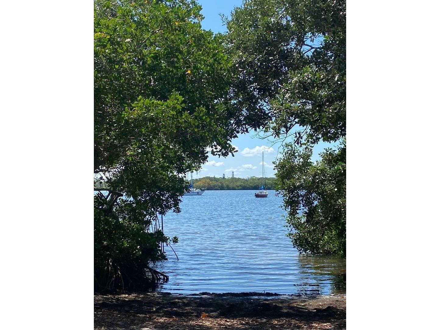2720 Bayside Drive S Saint Petersburg FL 33705 TB8516478 image7
