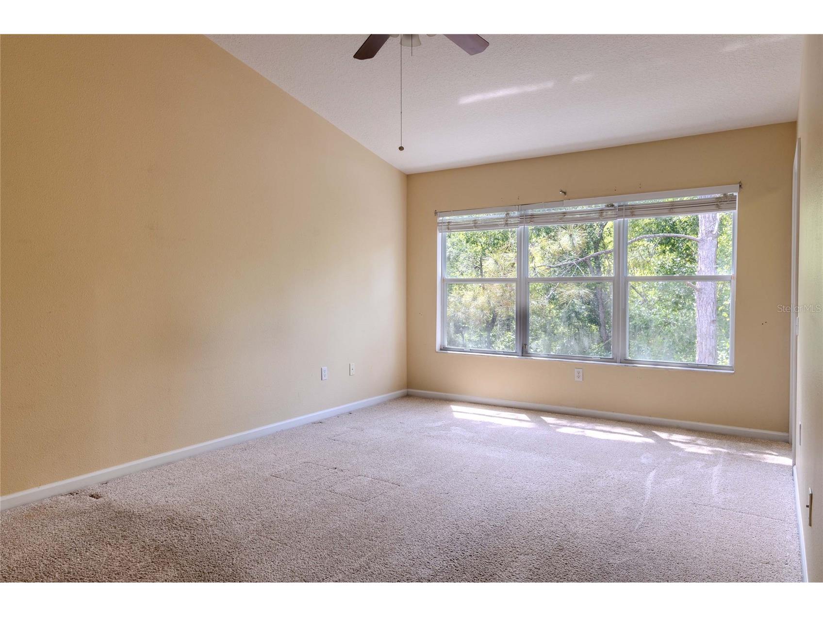 2720 Conch Hollow Drive Brandon FL 33511 TB8498150 image10