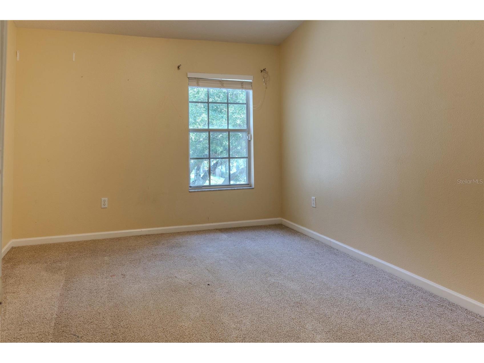 2720 Conch Hollow Drive Brandon FL 33511 TB8498150 image15