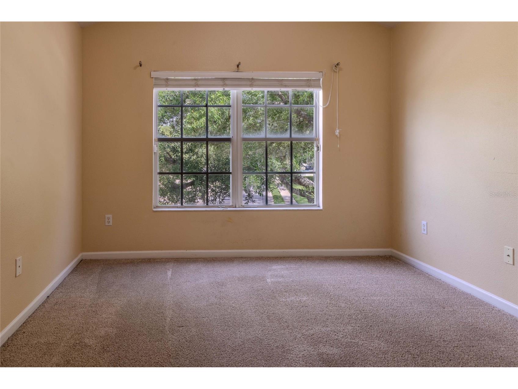2720 Conch Hollow Drive Brandon FL 33511 TB8498150 image16