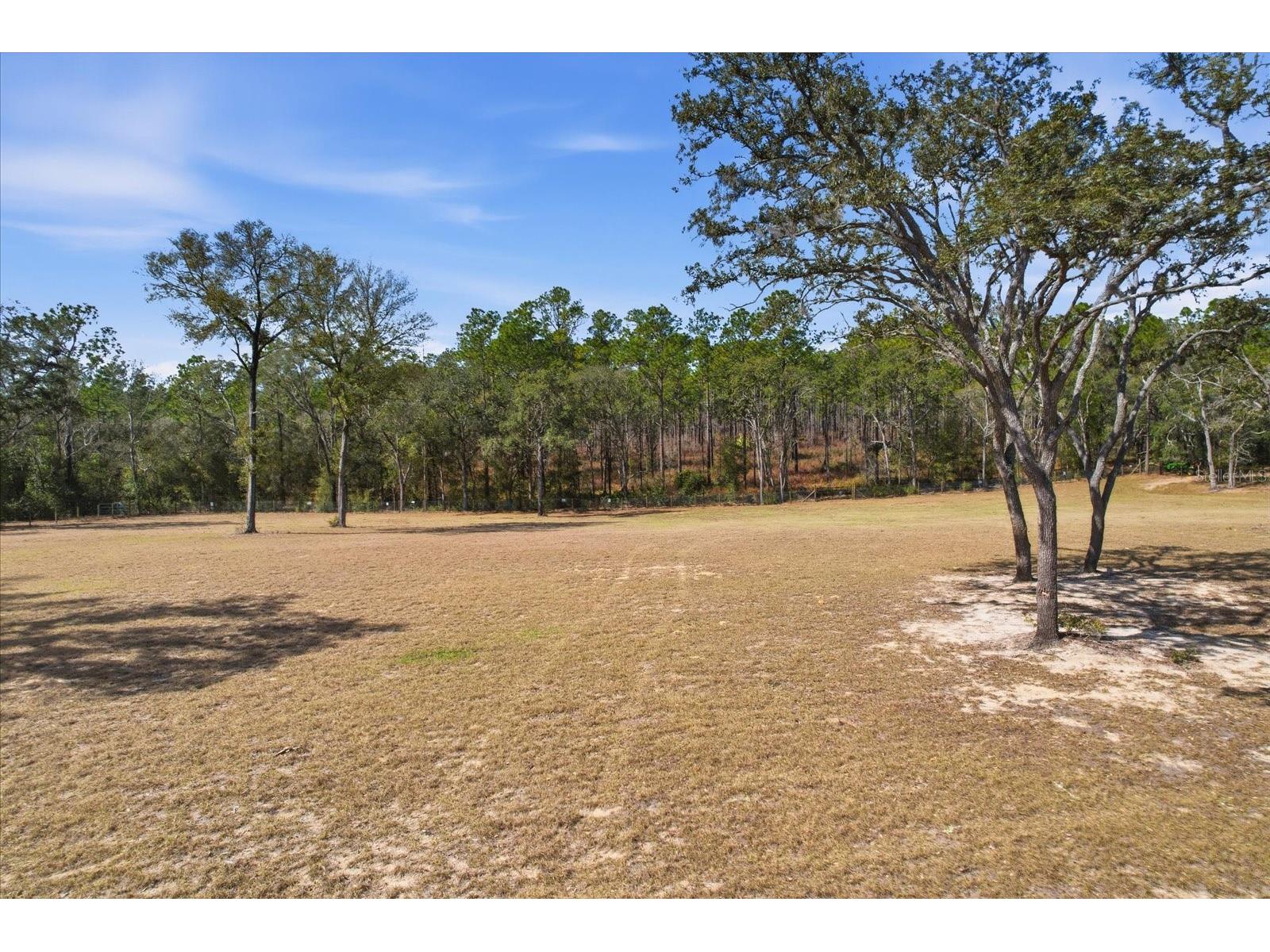 2720 E Fawn Court Inverness FL 34452 TB8478887 image3