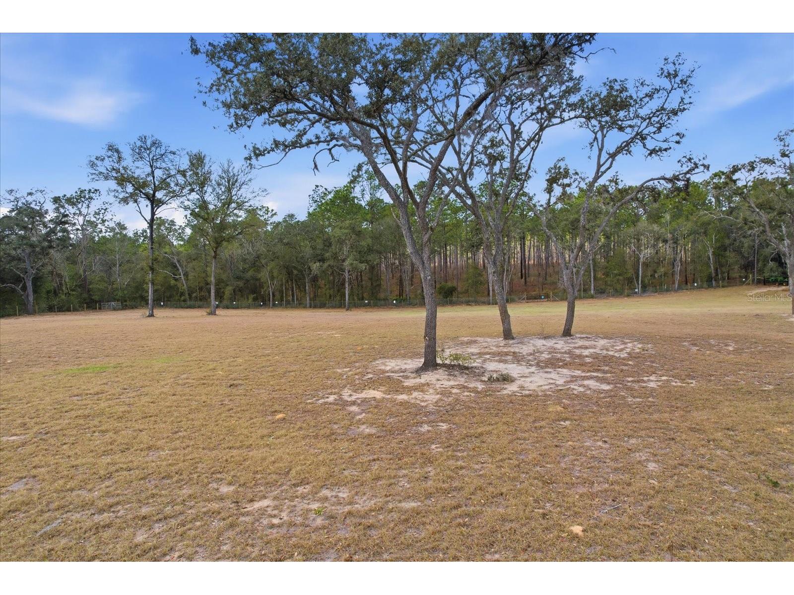 2720 E Fawn Court Inverness FL 34452 TB8478887 image8