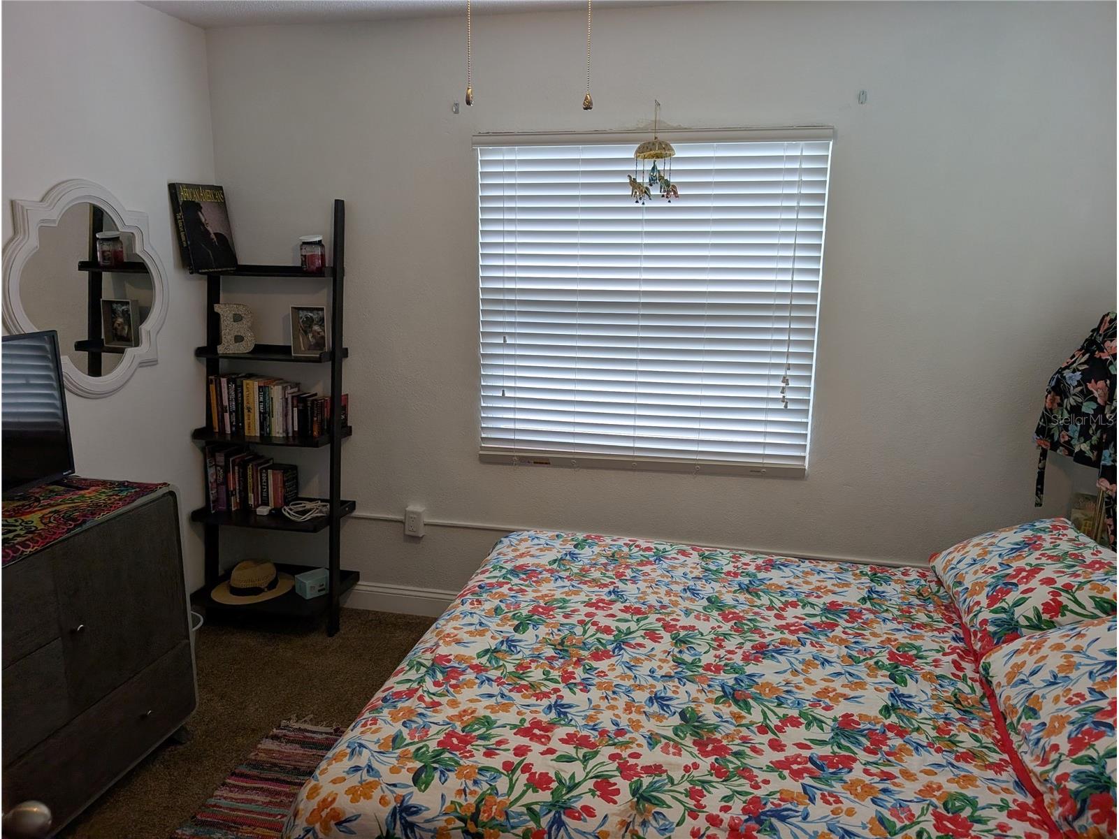 2720 N Lakefront Drive Hernando FL 34442 OM725747 image6