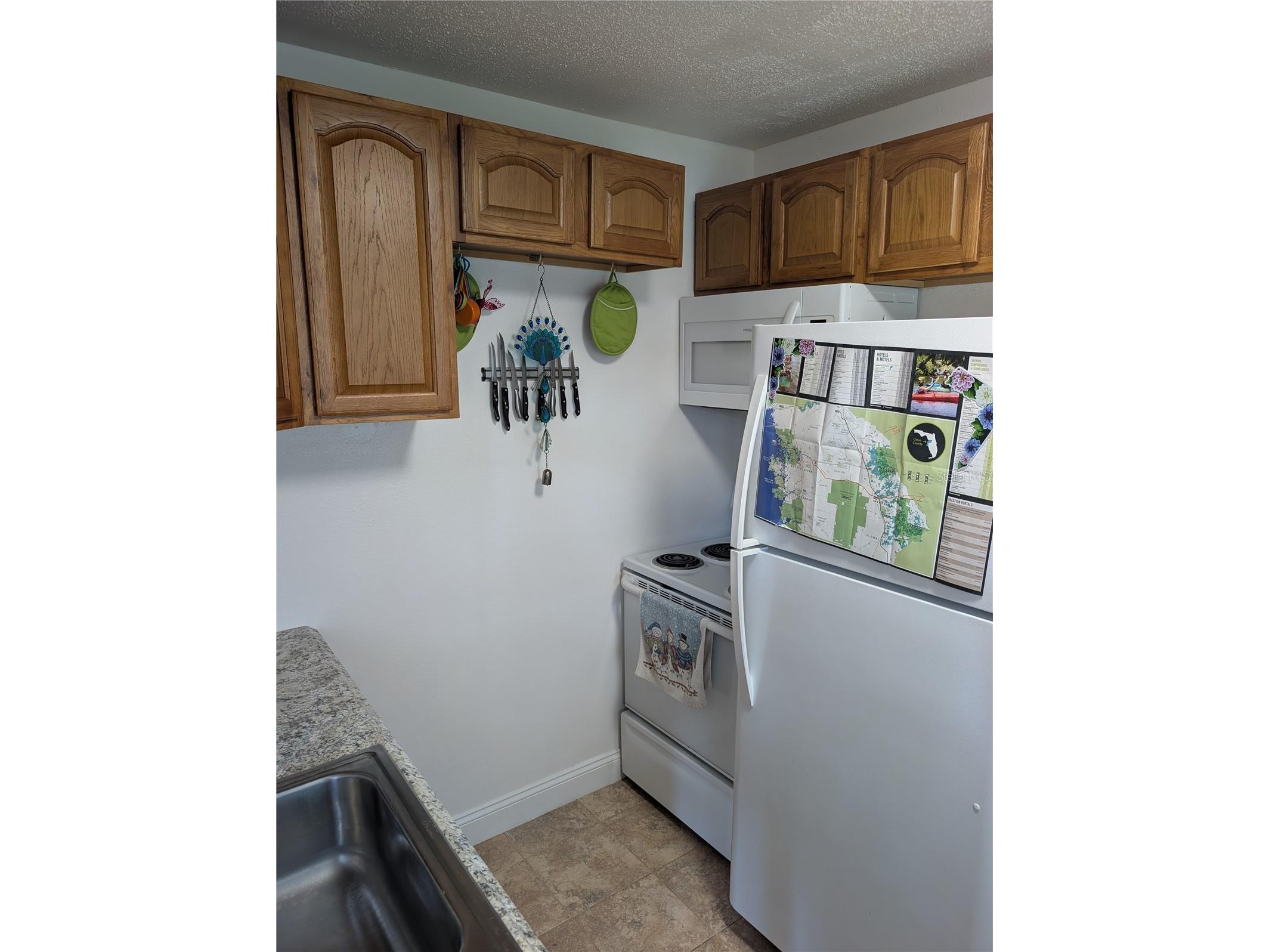 2720 N Lakefront Drive Hernando FL 34442 OM725747 image8
