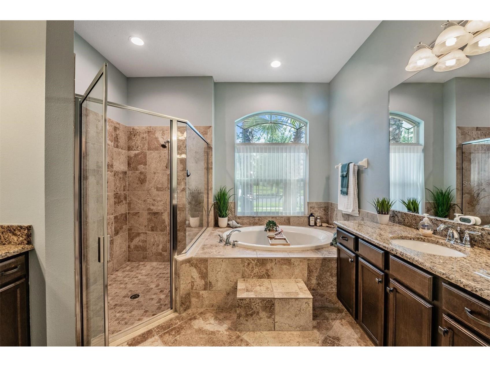 27205 Hawks Nest Circle Wesley Chapel FL 33544 TB8512012 image26