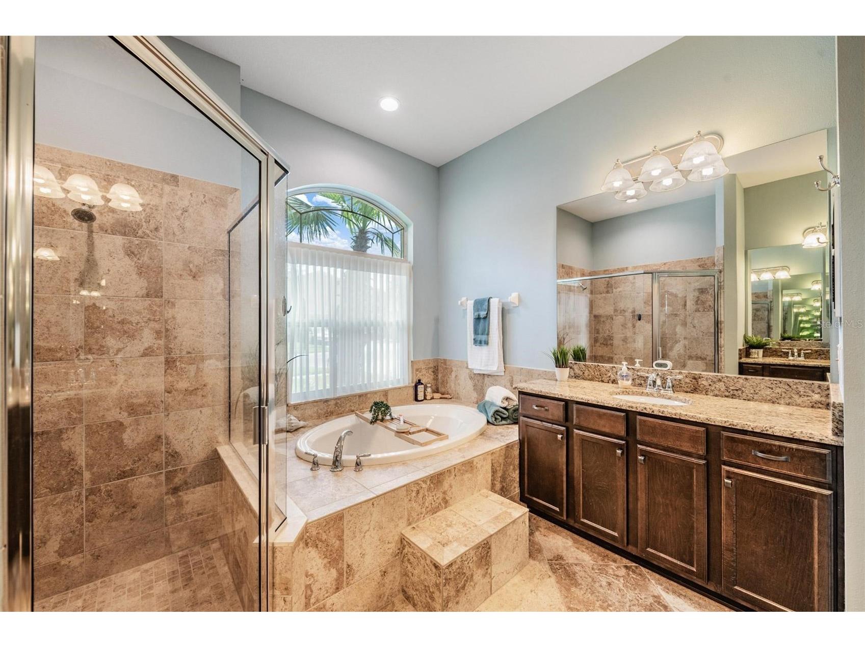 27205 Hawks Nest Circle Wesley Chapel FL 33544 TB8512012 image28