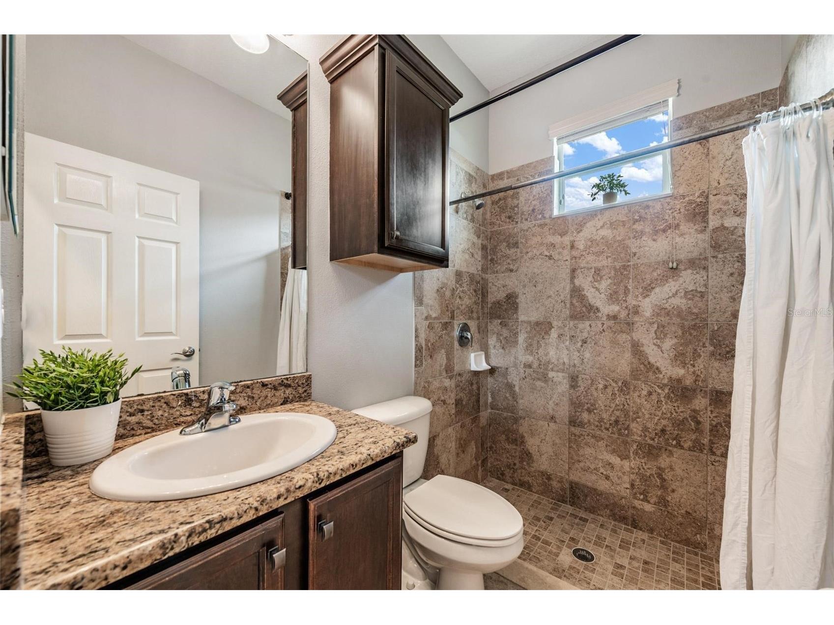 27205 Hawks Nest Circle Wesley Chapel FL 33544 TB8512012 image32