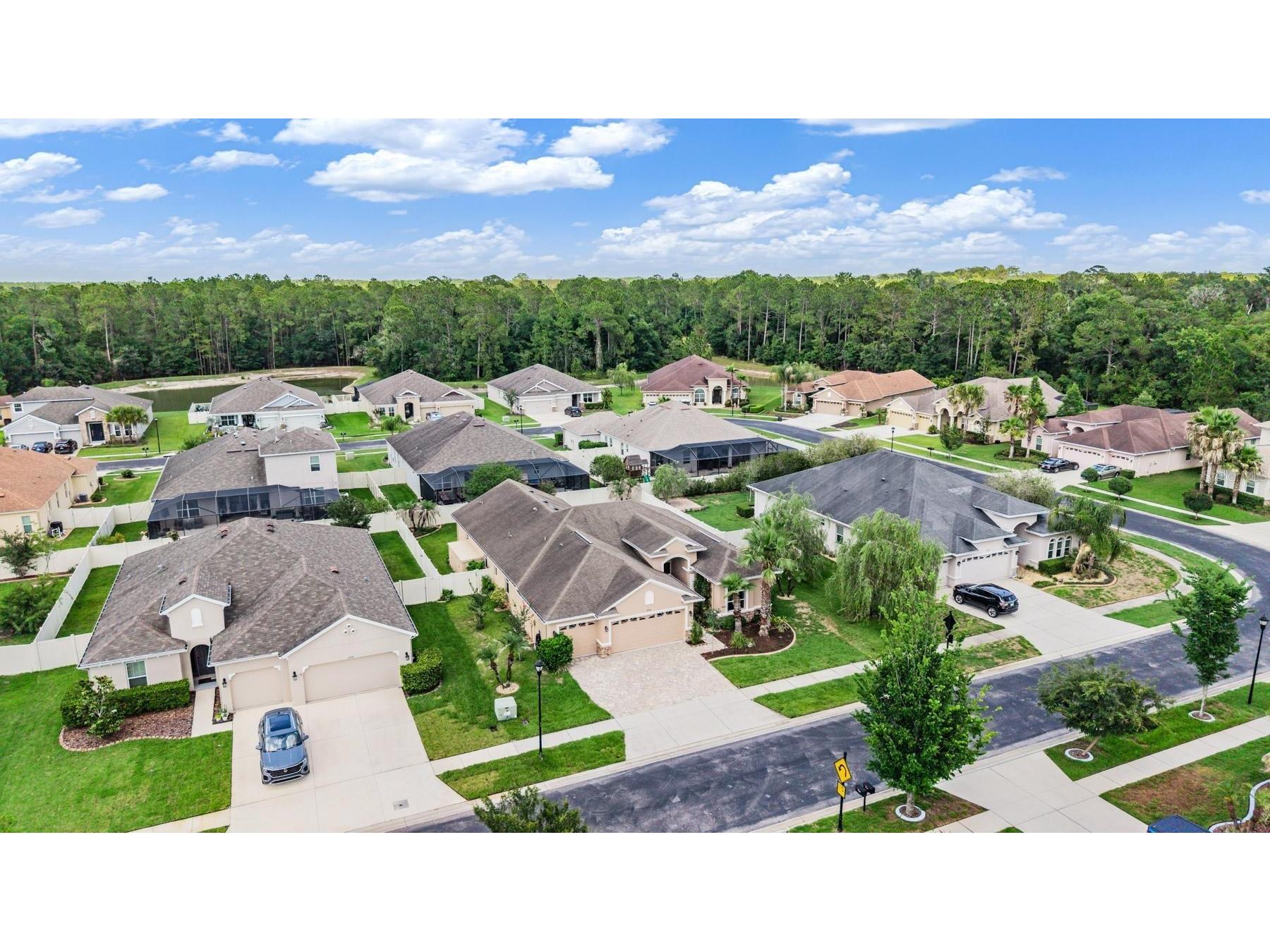 27205 Hawks Nest Circle Wesley Chapel FL 33544 TB8512012 image40