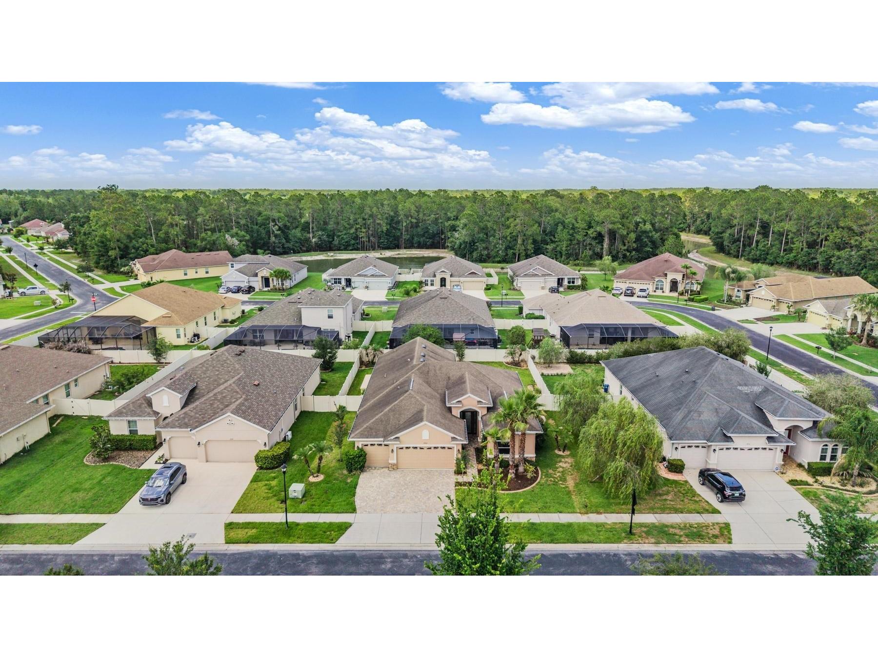 27205 Hawks Nest Circle Wesley Chapel FL 33544 TB8512012 image41