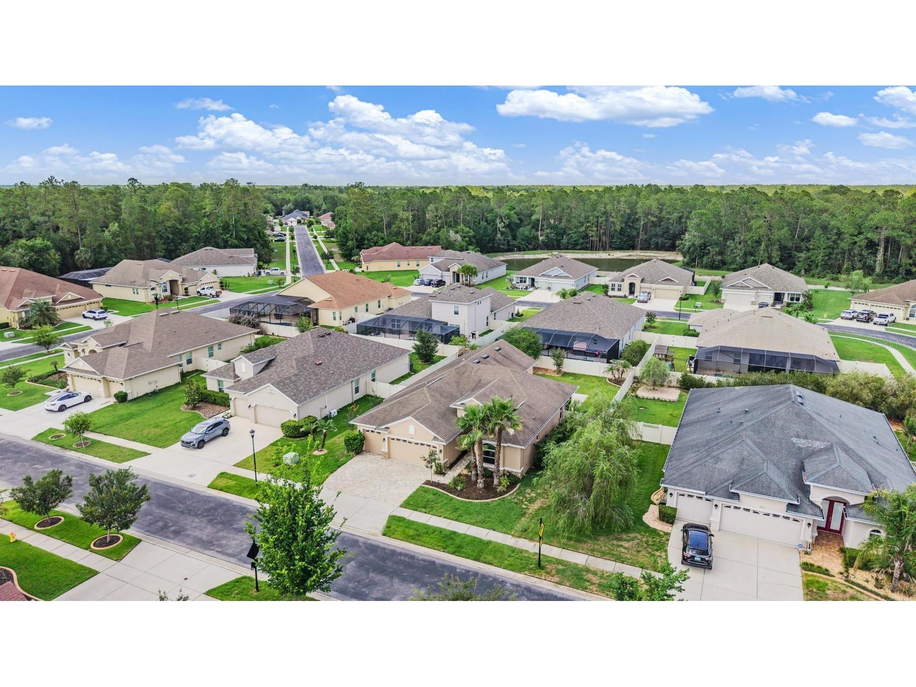 27205 Hawks Nest Circle Wesley Chapel FL 33544 TB8512012 image43