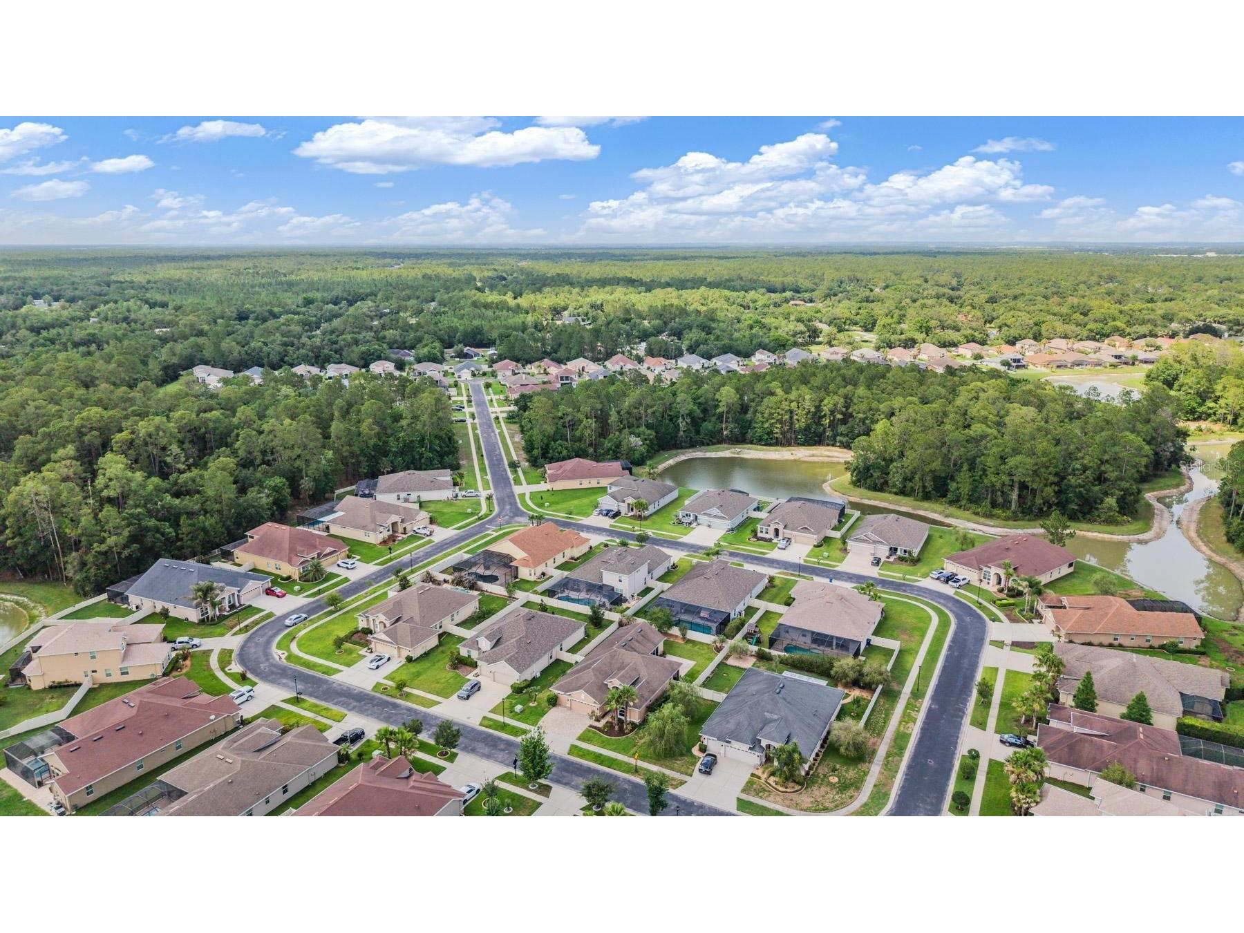 27205 Hawks Nest Circle Wesley Chapel FL 33544 TB8512012 image44