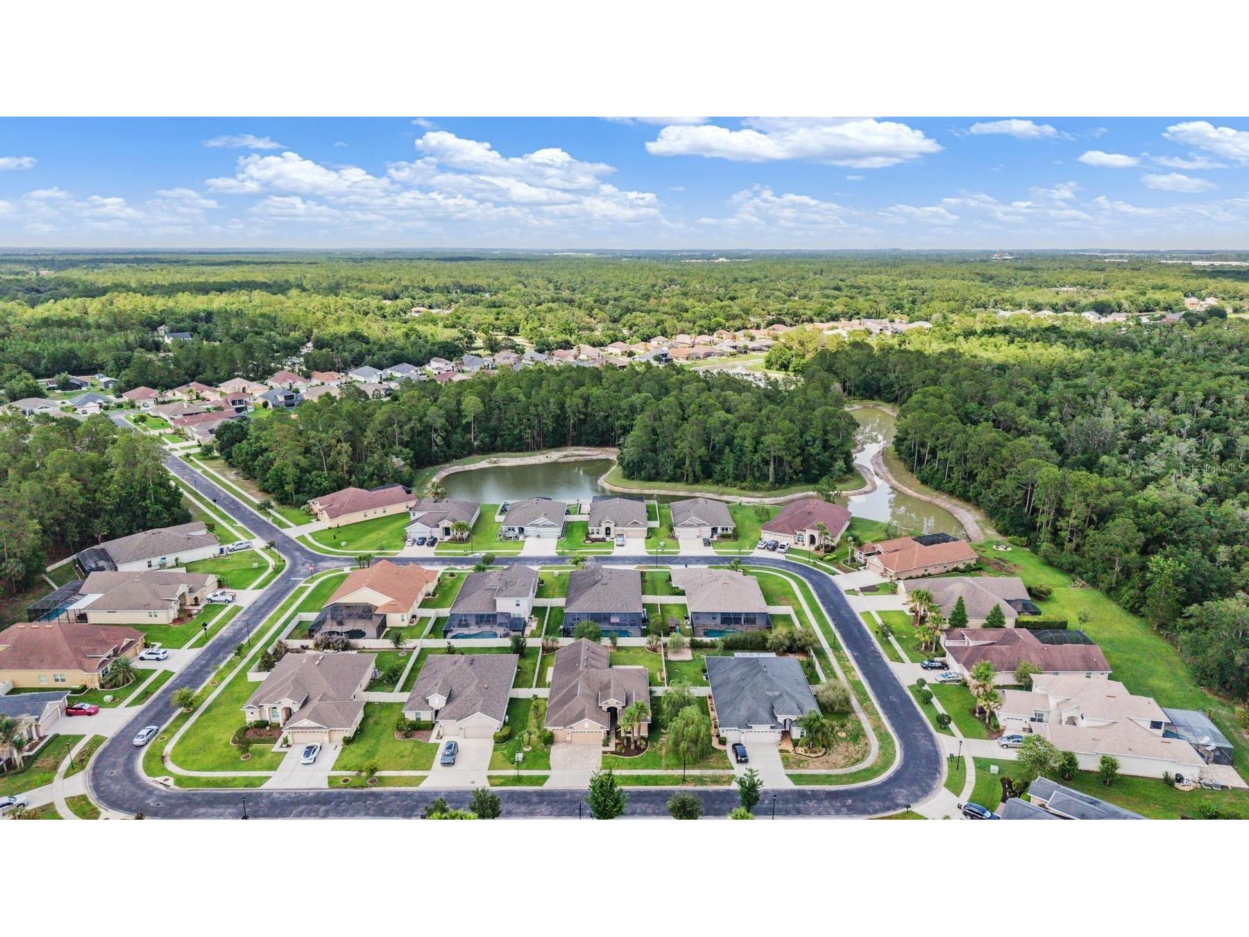 27205 Hawks Nest Circle Wesley Chapel FL 33544 TB8512012 image45