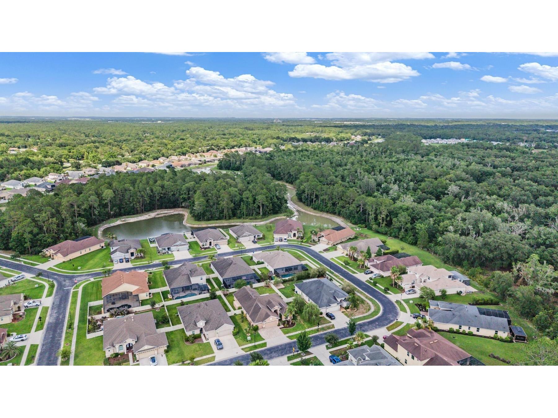 27205 Hawks Nest Circle Wesley Chapel FL 33544 TB8512012 image46