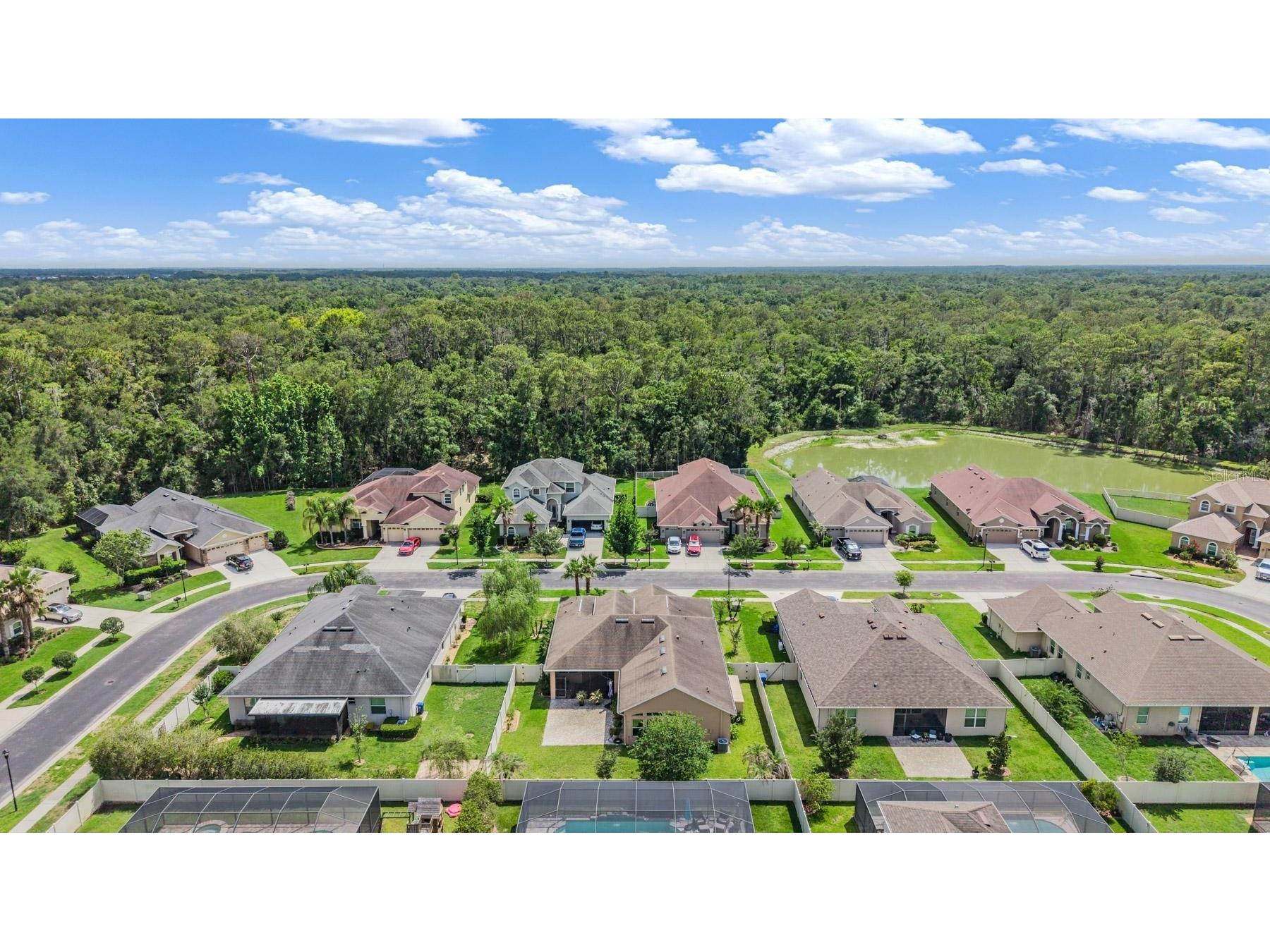 27205 Hawks Nest Circle Wesley Chapel FL 33544 TB8512012 image47