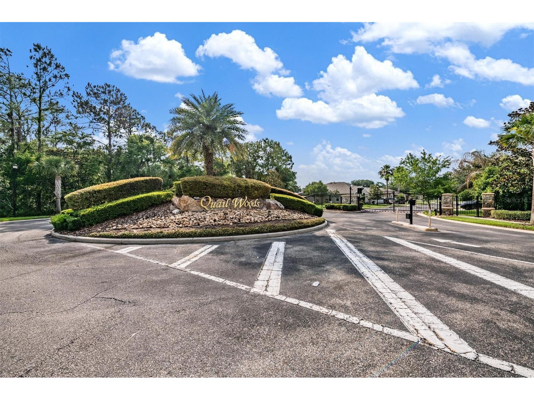 27205 Hawks Nest Circle Wesley Chapel FL 33544 TB8512012 image48
