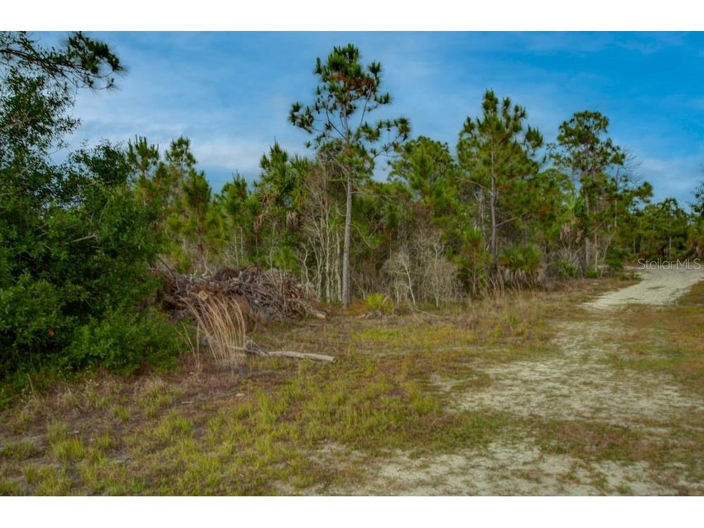 27205 Monte Cristo Boulevard Punta Gorda FL 33955 O6410339 image16