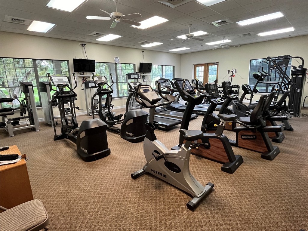27206 Falcon Feather Way Leesburg FL 34748 G5082086 image33