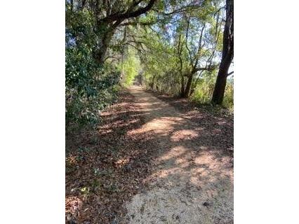 27206 Falcon Feather Way Leesburg FL 34748 G5082086 image37