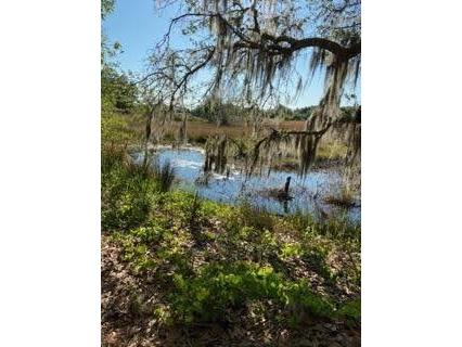 27206 Falcon Feather Way Leesburg FL 34748 G5082086 image38