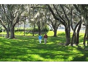 27206 Falcon Feather Way Leesburg FL 34748 G5082086 image41