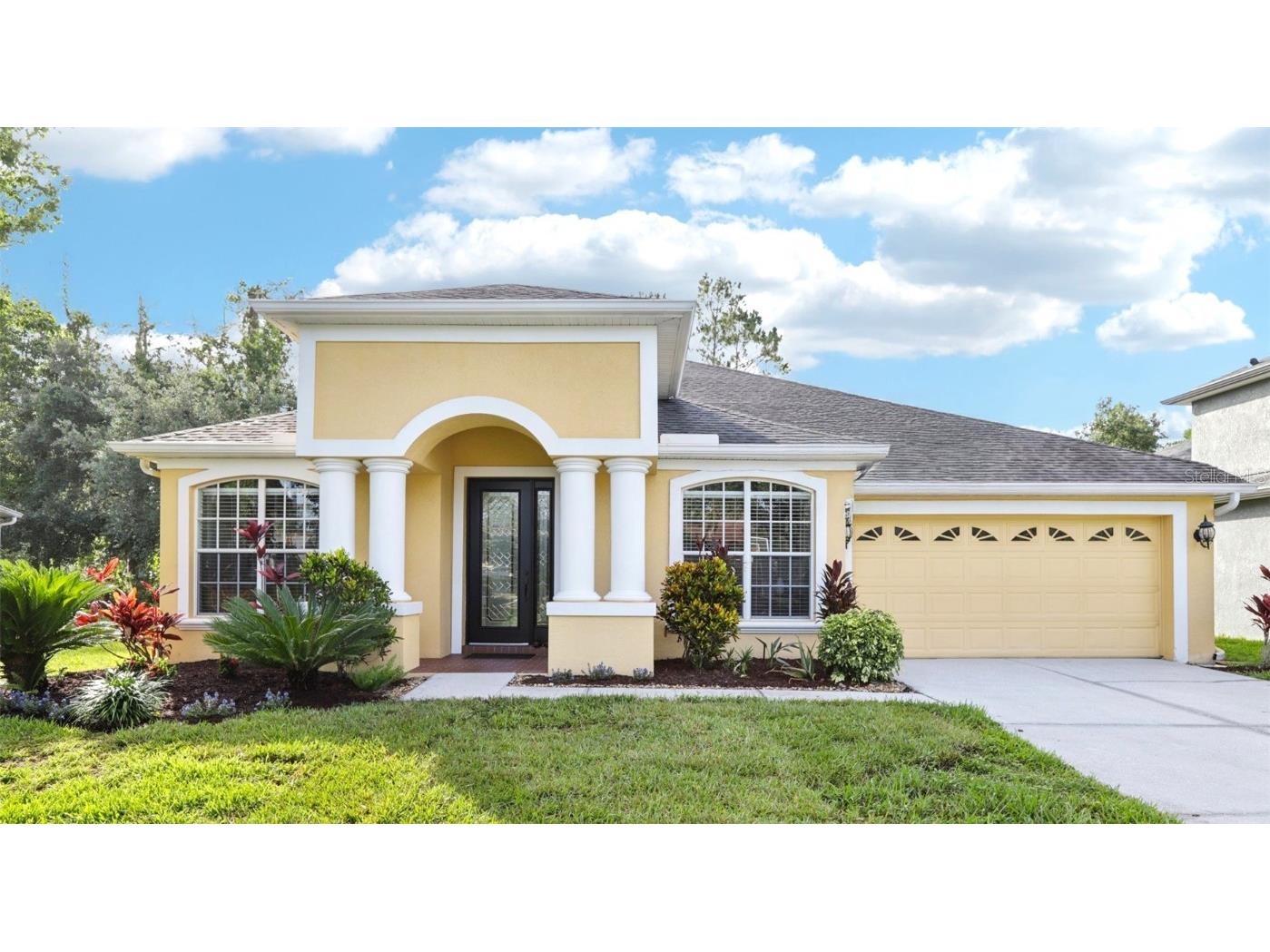 27209 Firebush Drive Wesley Chapel FL 33544 TB8393931 image1