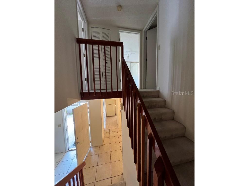 2721 5th Court Palm Harbor FL 34684 TB8449254 image17