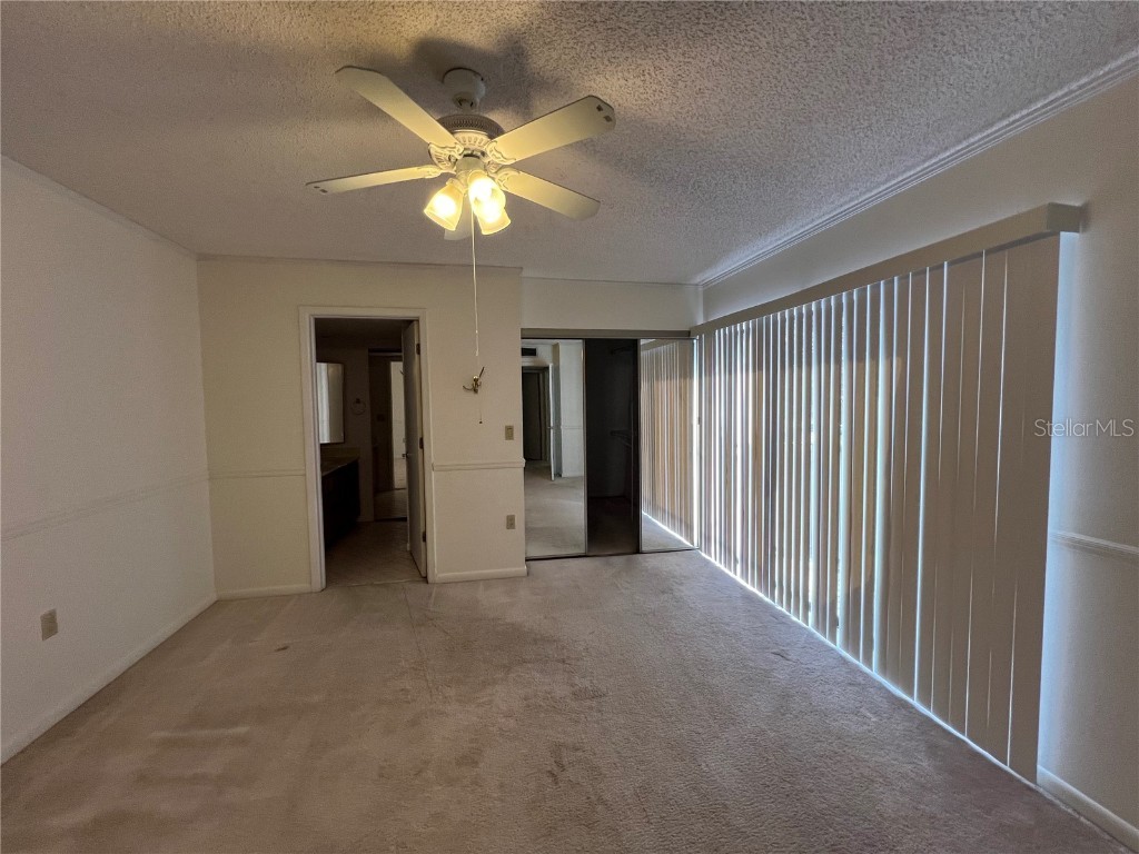 2721 5th Court Palm Harbor FL 34684 TB8449254 image19