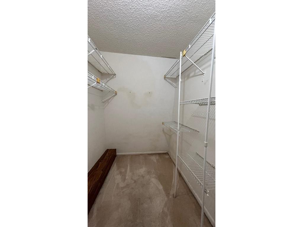 2721 5th Court Palm Harbor FL 34684 TB8449254 image25