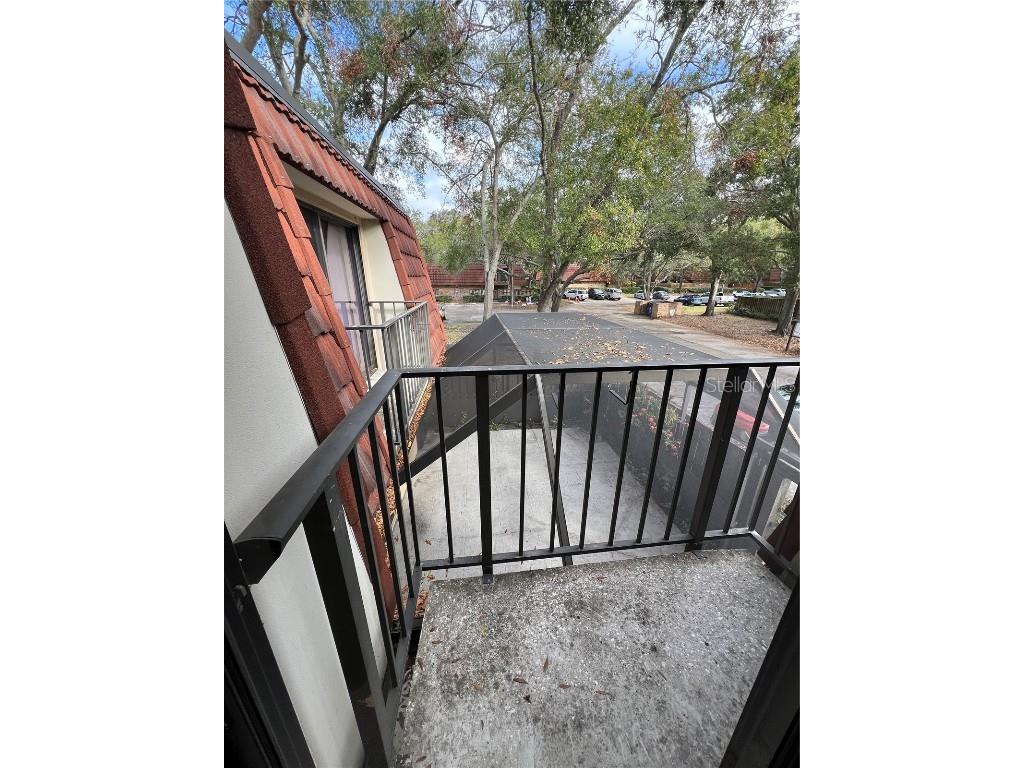 2721 5th Court Palm Harbor FL 34684 TB8449254 image28