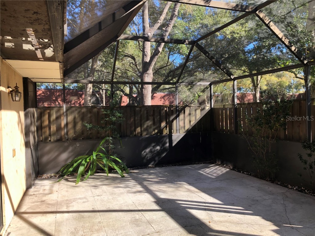 2721 5th Court Palm Harbor FL 34684 TB8449254 image3