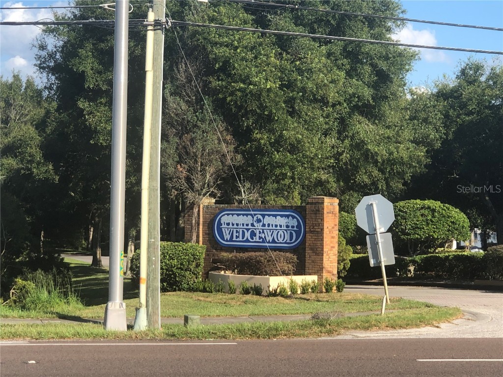 2721 5th Court Palm Harbor FL 34684 TB8449254 image33