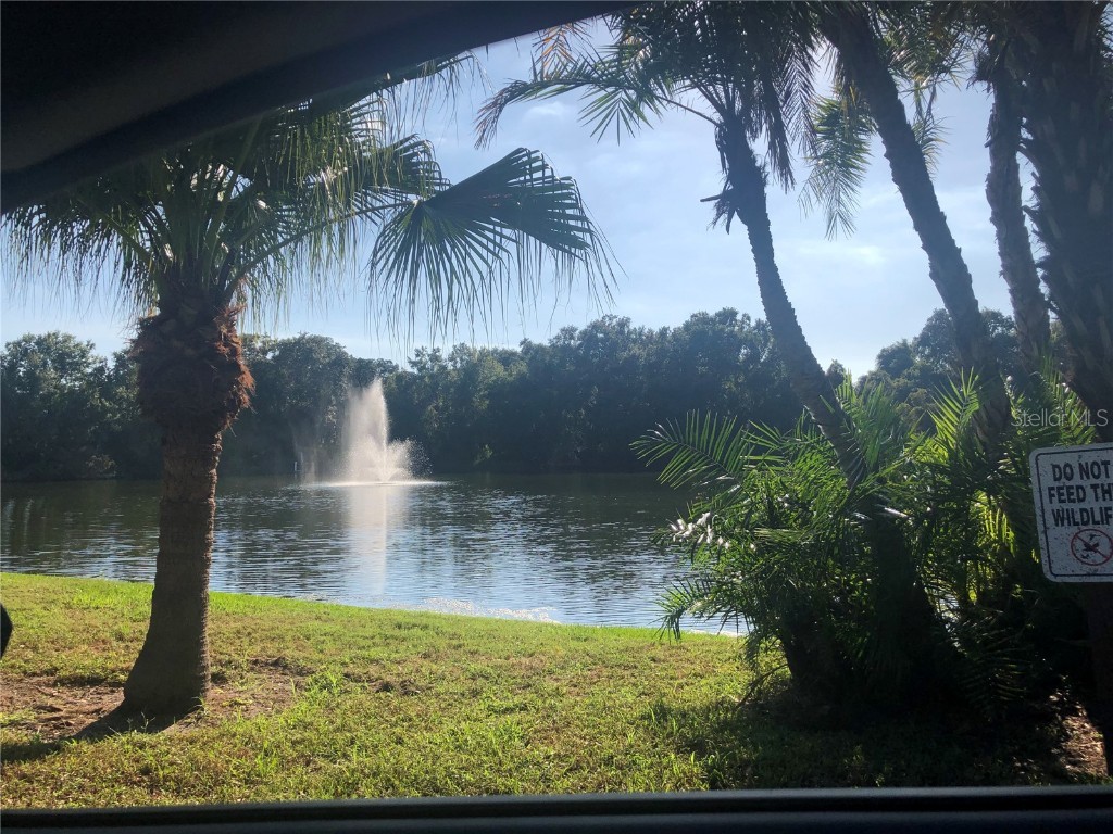 2721 5th Court Palm Harbor FL 34684 TB8449254 image34