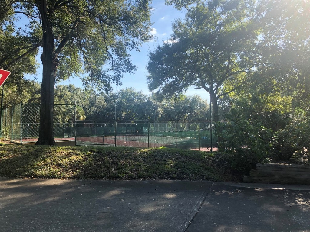 2721 5th Court Palm Harbor FL 34684 TB8449254 image35