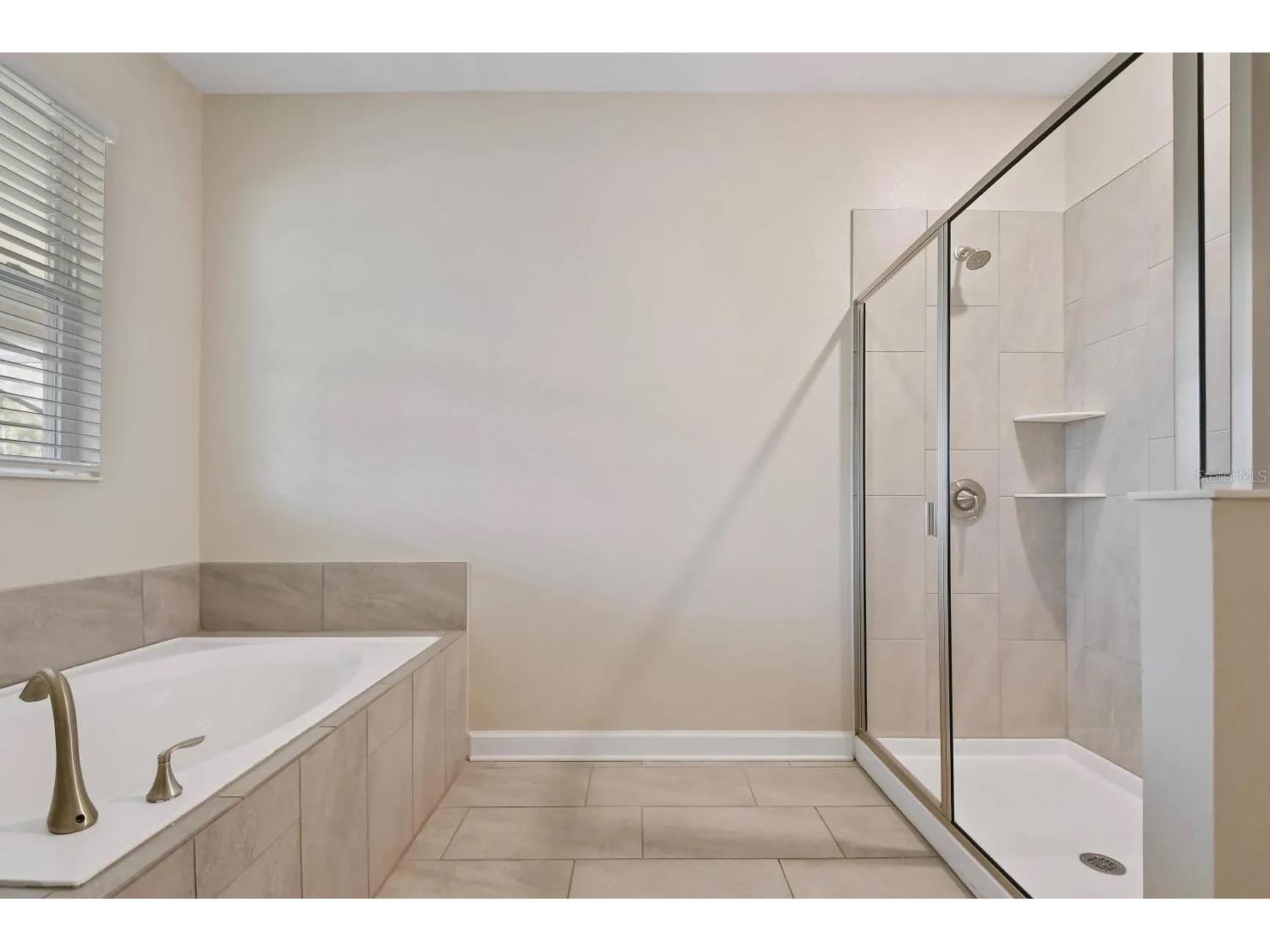 2721 Bookmark Drive Kissimmee FL 34746 O6405337 image12
