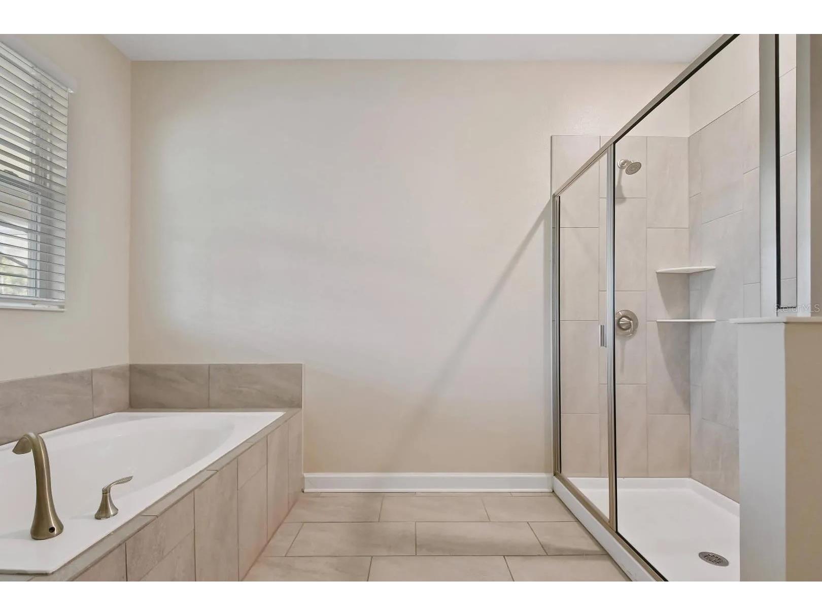 2721 Bookmark Drive Kissimmee FL 34746 O6405337 image19