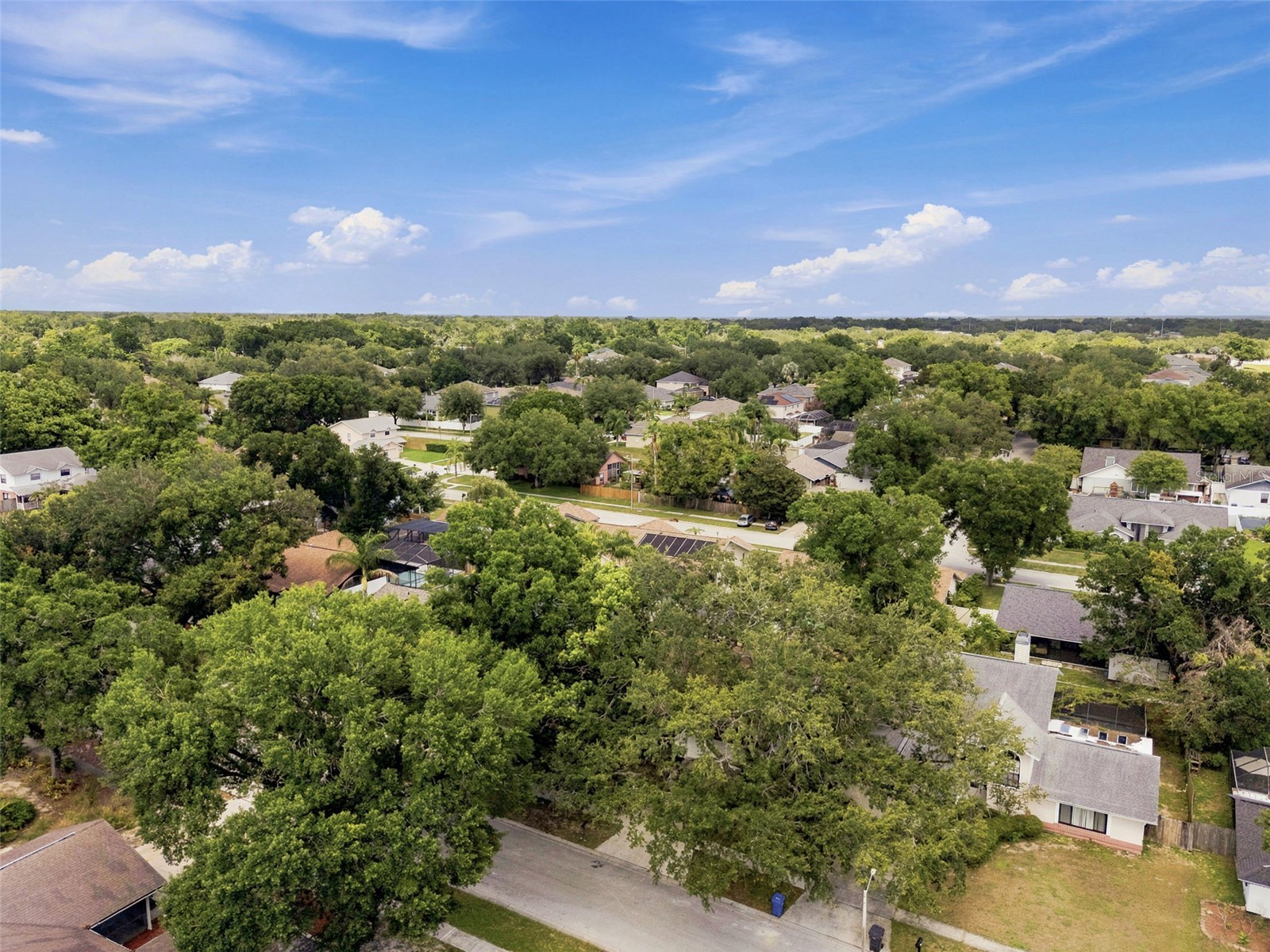 2721 Briarpatch Drive Valrico FL 33596 TB8530058 image57