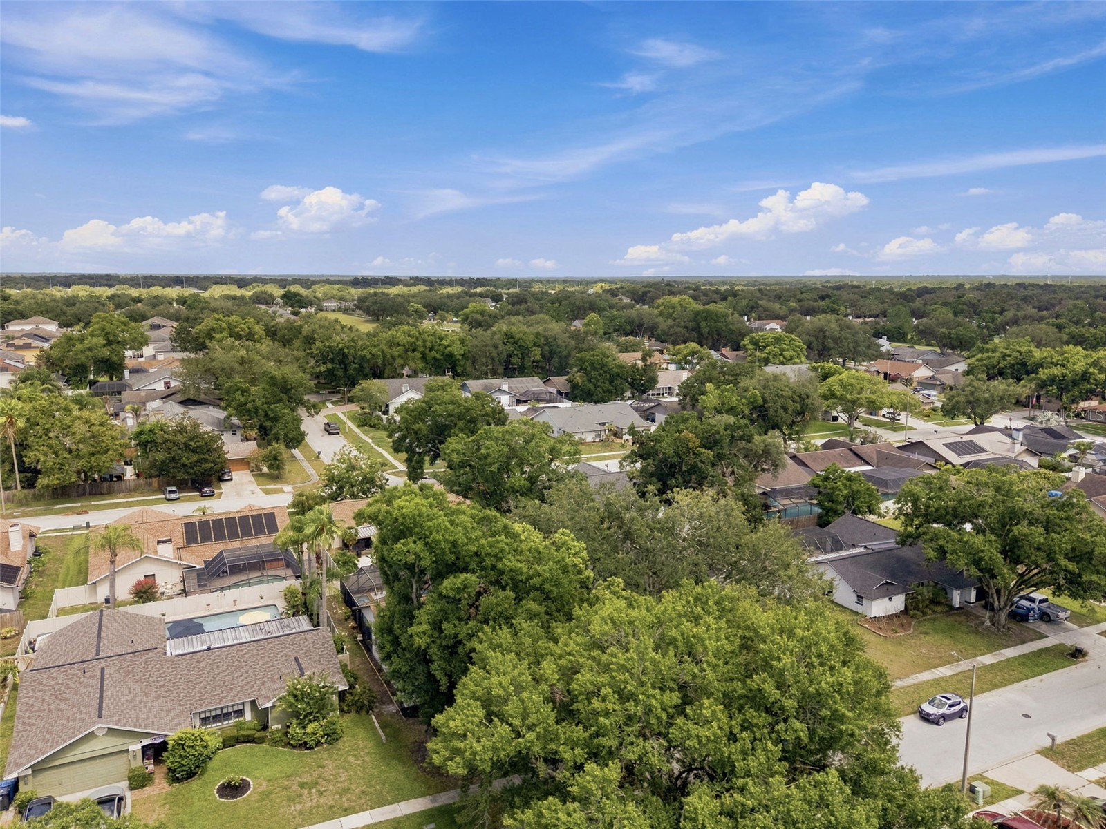 2721 Briarpatch Drive Valrico FL 33596 TB8530058 image59