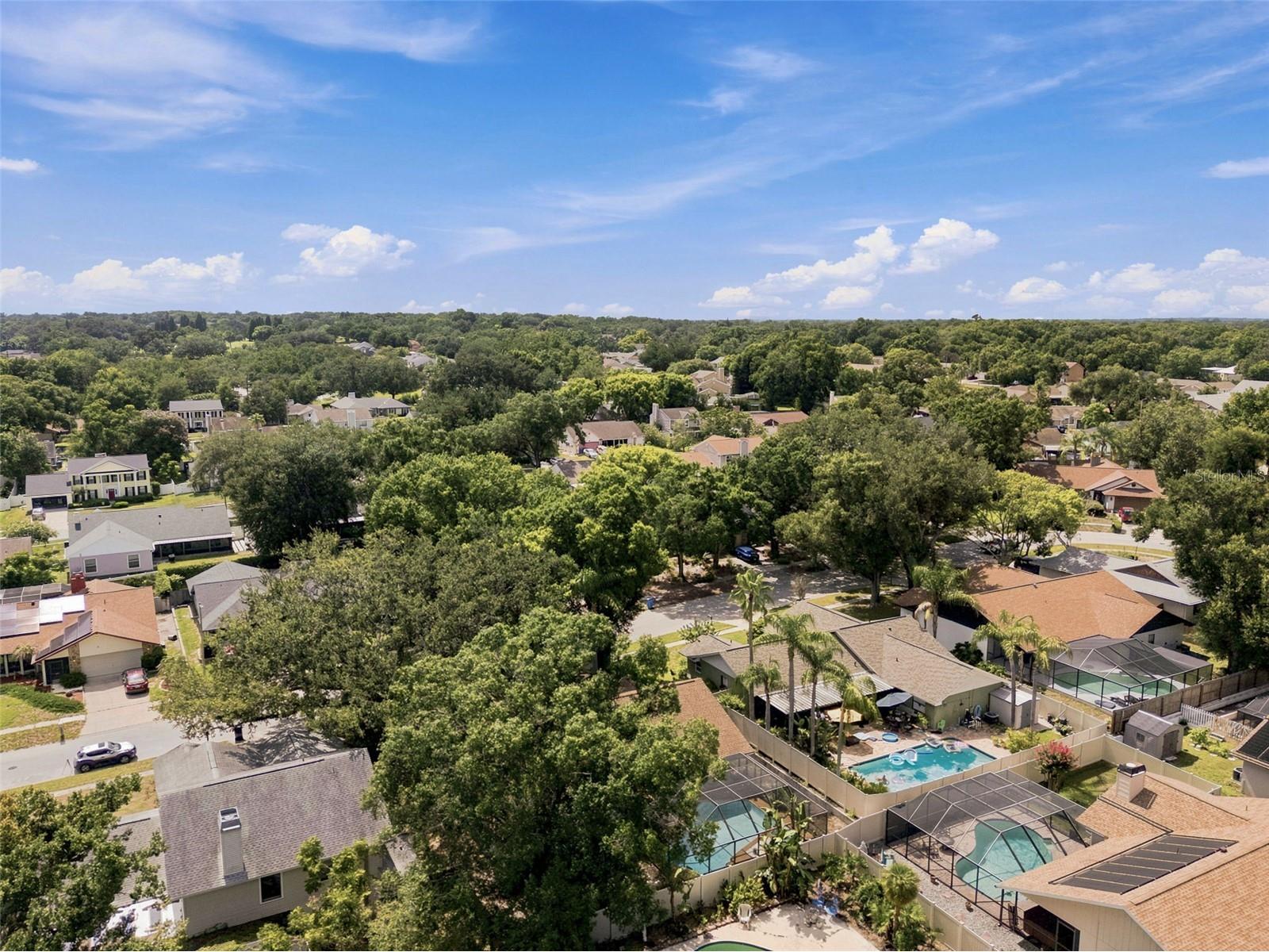 2721 Briarpatch Drive Valrico FL 33596 TB8530058 image63